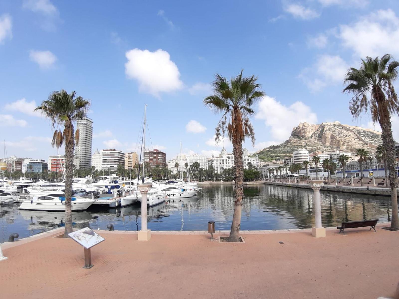 Apartamento Grande-Centro Barrio Playa Alicante Eksteriør billede